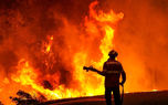 فیلم آتش سوزی وحشت آور نخلستان های منطقه ذولفقاری آبادان / این آتش سوزی ها عمدی است؟ 